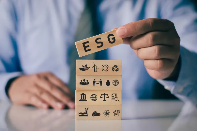 O que é ESG?